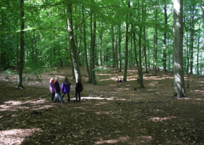 Michael Zander, Landart-Projekt für das MACHmit! Museum für Kinder Berlin, www.herr-zander.de